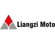 21. LIANGZI POWERSS